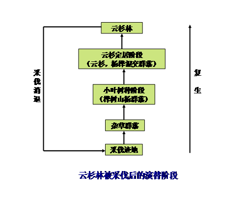 2013年成考專升本《生態(tài)學(xué)基礎(chǔ)》復(fù)習(xí)：第十章  群落的報(bào)考