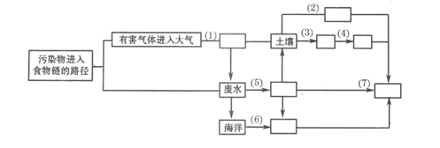 2016年成人高考歷史地理綜合預測試題及答案(2)