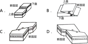 2019年二級(jí)建造師水利水電工程真題解析(講師完整版)