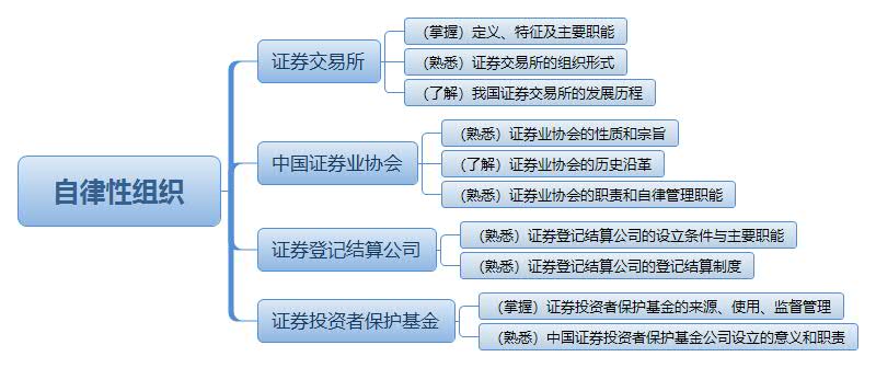 自律性組織.jpg