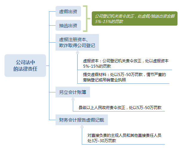 公司法中 的法律責(zé)任.png