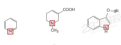 生物堿N.jpg