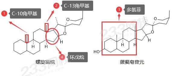 甾體皂苷.jpg