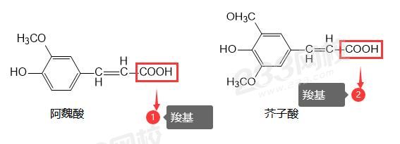 有機(jī)酸.jpg