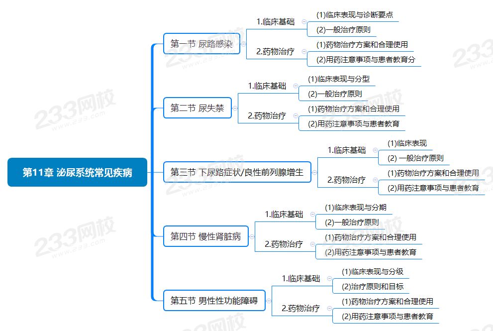 第11章 泌尿系統(tǒng)常見(jiàn)疾病.png